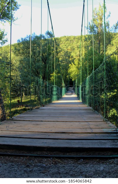  A\
bridge in nature in the woods, a wooden\
bridge