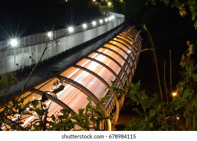 Bridge at Night