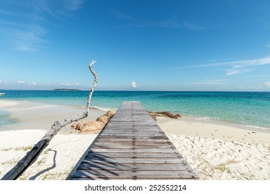 Bridge to the ocean