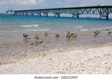 Bridge On Mackinaw Island, USA