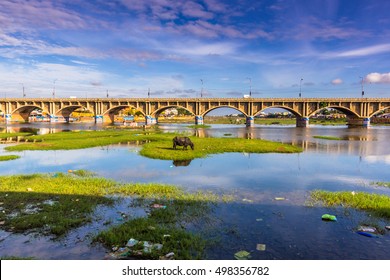 Bridge On Madurai, India