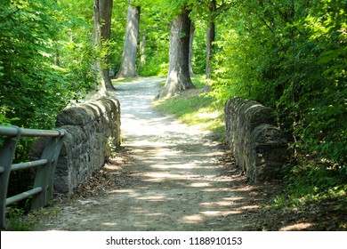 A Bridge On The Niagara Gorge Trail In New York