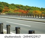 A bridge over the "21st Century Forest and Square" and a forest landscape with yellow leaves in autumn
