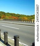 A bridge over the "21st Century Forest and Square" and a forest landscape with yellow leaves in autumn