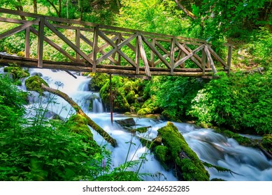 Bridge over cascade river in nature resort of Montenegro - Powered by Shutterstock