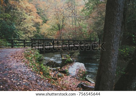 Bridge over Deep Creek in Smoky Mountains National Park, North Carolina