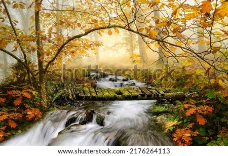 A bridge over a fast stream in the autumn dark forest. Dark autumn background