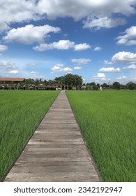 Bridge over the fields and clear sky