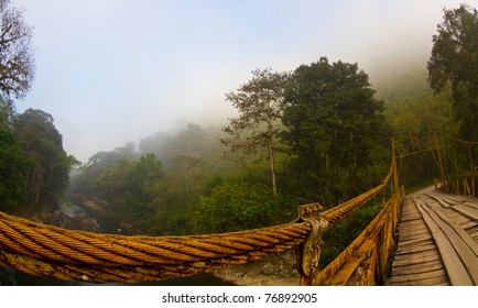 A bridge over a forest at dawn - Powered by Shutterstock