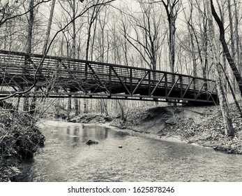Bridge over a forest stream