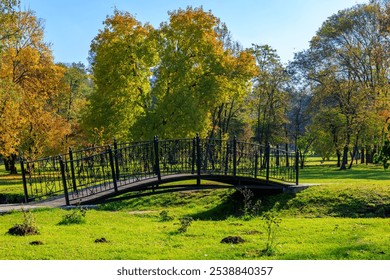 A bridge over a grassy field with trees in the background. The bridge is wooden and has a metal railing. The trees are in various stages of autumn, with some leaves still green and others falling - Powered by Shutterstock