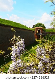 Bridge over the moat in the Petrovaradin Fortress, Petrovaradin, Novi Sad, Serbia. Wooden fortifications. Hills, overgrown fortifications. Museum complex of defensive structures. Flowers foreground - Shutterstock ID 2274386529