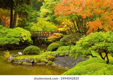 A bridge over a pond in a  japanese garden in northwest Oregon with trees showing their peak fall colors. - Powered by Shutterstock