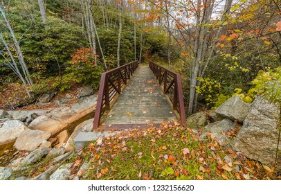 A bridge over a ravine along a trail in the woods near Beech Mountain, North Carolina, USA