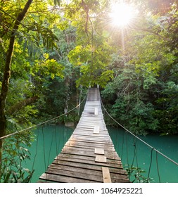 Bridge Over River In Tranquil Forest In Belize