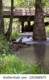 A Bridge Over A Stream With Cypress Trees In Bogue Chitto State Park, Washington Parish, Louisiana