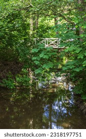 Bridge over a stream in a leafy deciduous forest