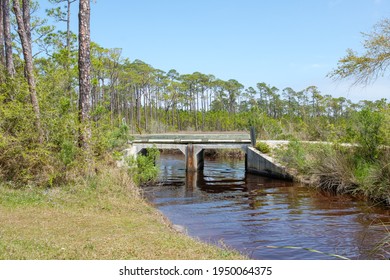Bridge over water and edge of pine forest in Bon Secour National Wildlife Refuge in Gulf Shores, Alabama, USA - Shutterstock ID 1950064375