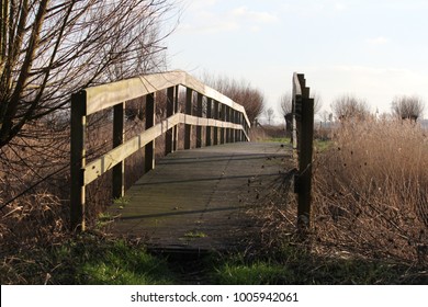 bridge over the water in nature reserve