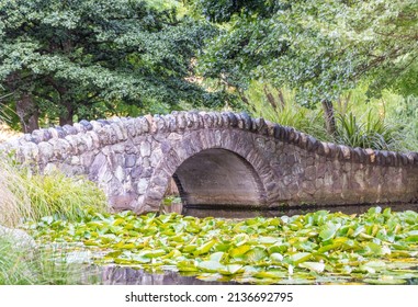 Bridge over Waterlilies in Queenstown Gardens on a Sunny Afternoon in Queenstown New Zealand