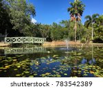 Bridge over the waterlily filled ponds at Coastwatcher Park, Trinity Beach, Queensland, Australia
