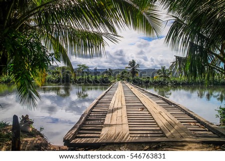 Similar – Image, Stock Photo jungles Virgin forest