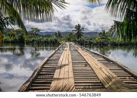 Similar – Image, Stock Photo jungles Virgin forest