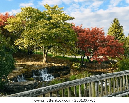 A bridge overlooking autumn leaves and a gentle waterfall. 
