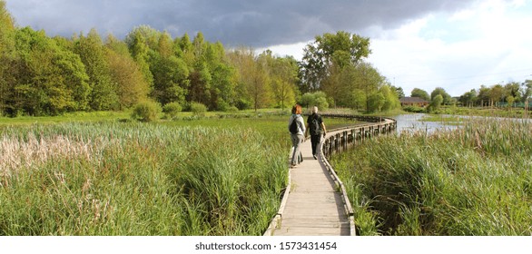 Bridge In A Park Near Lille, France