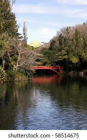 Bridge In Pukekura Park, New Zealand