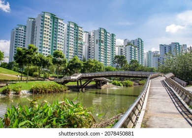 the Bridge in Punggol Waterway Park Singapore, a 12.25 hectares riverine park along Sentul Crescent. The park consists of four themed areas.