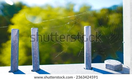 Bridge railing covered in spiderwebs