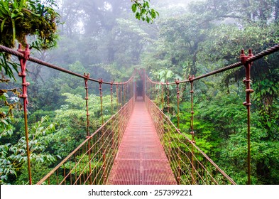 Bridge in Rainforest - Costa Rica - Monteverde - Shutterstock ID 257399221