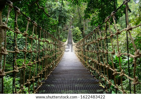 Bridge Rainforest Suspension bridge, Crossing the river, ferriage in the woods