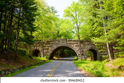 Bridge And Road, Acadia National Park