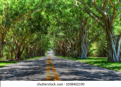 502 Jupiter island florida Images, Stock Photos & Vectors | Shutterstock