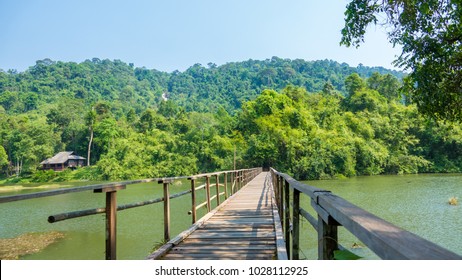
Bridge to the shade.
