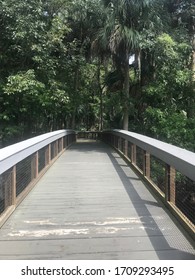 Bridge In Silver Springs State Park, Florida