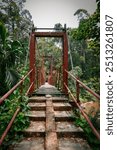 Bridge Sinharaja Forest, Sri Lanka - 

In the heart of the tropical jungle, UNESCO heritage. A gem for nature lovers!

