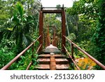 Bridge Sinharaja Forest, Sri Lanka - 

In the heart of the tropical jungle, UNESCO heritage. A gem for nature lovers!

