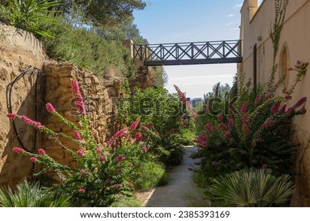Bridge spanning above a beautiful mediterranean flower garden.