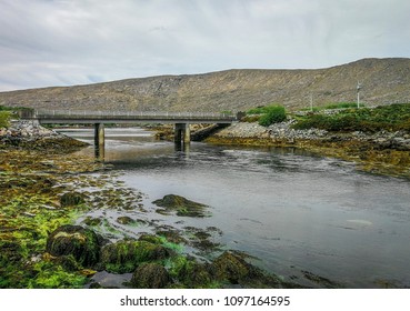 Bridge spanning a river, with mountains in the background and flowers and seaweed in the foreground