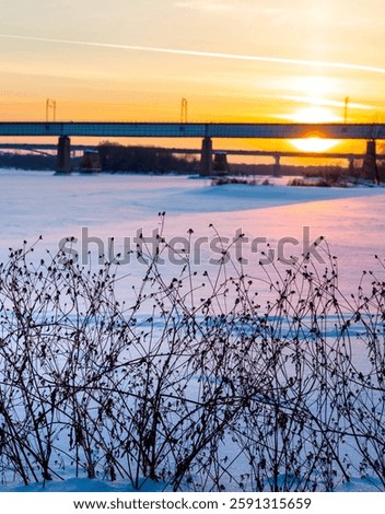 Bridge spans a river with a sunset in the background. The bridge is a long, thin structure that is surrounded by a field of dead plants. The sky is a mix of orange and pink hues, creating a serene