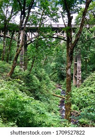 Bridge and stream in a forest.
