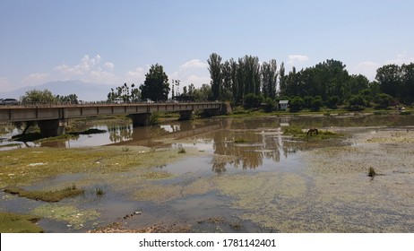 Bridge structure built over a river, road, or railway to allow people and vehicles to cross from one side to the other. Bridge is the common name for bridges constructed for transportation.