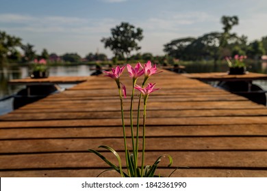 The bridge is a structure that connects the side for over a river valley in road, railway and water. The height of the bridge design