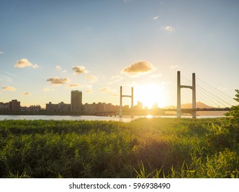 bridge in sunset
