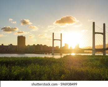 bridge in sunset
