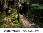 Bridge surrounded by ferns leading into the Thurston lava tube in the Kilauea crater in the Hawaiian Volcanoes National Park on the Big Island of Hawai