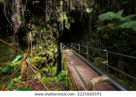 Bridge surrounded by ferns leading into the Thurston lava tube in the Kilauea crater in the Hawaiian Volcanoes National Park on the Big Island of Hawai'i in the Pacific Ocean